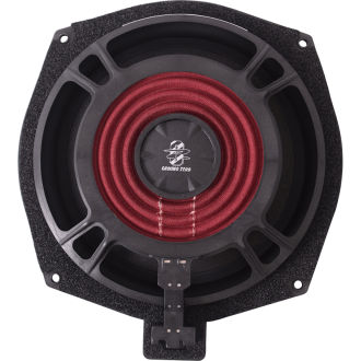 SUBWOOFER GZ 20 CM SPEC BMW 160W
