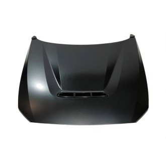 CAPOT METAL BMW F20/F22/F87 M2C 2