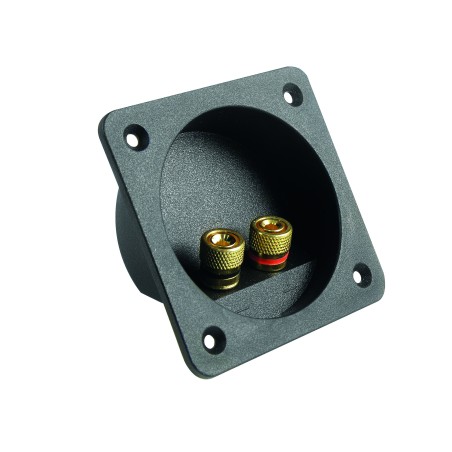 BORNIER 2 POLES DORE POUR CAISSON