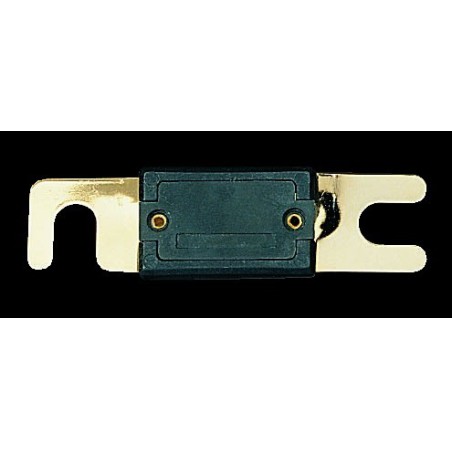 FUSIBLE 100 AMP EXTRA GRAND