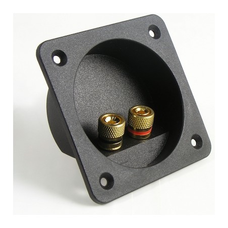 BORNIER 2 POLES DORE POUR CAISSON