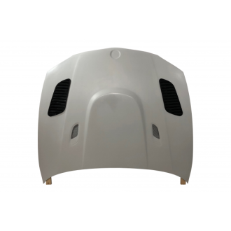 Capot En Fibre BMW E81 / E82 / E87 / E88 Look M3 GTR 2