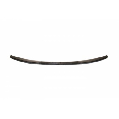 Aileron Carbone BMW F22/F87 M2