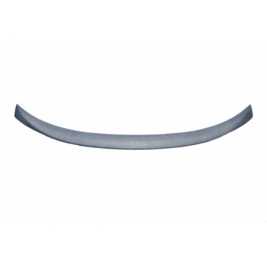 Aileron BMW F16 X6
