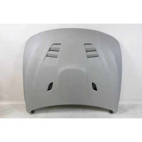 Capot Fibre BMW F80 / F82 / F83 Look GTR