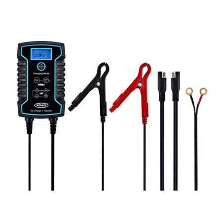 CHARGEUR BATTERIE INT 6A