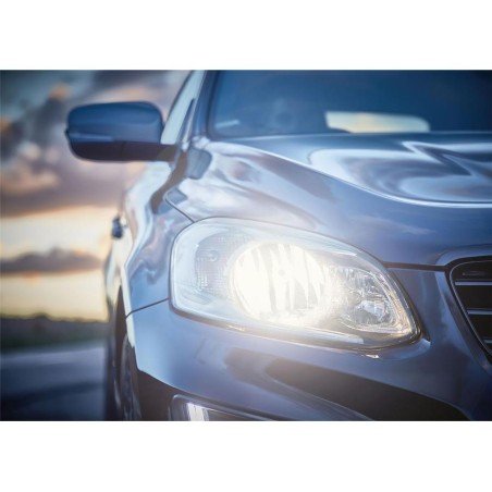 2 AMPOULES H4 RING 12V 60/55W + 200