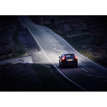 2 AMPOULES H4 RING 12V 60/55W + 200