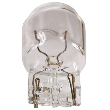 BLISTER 2 AMPOULES WEDGE 12V 21WT20