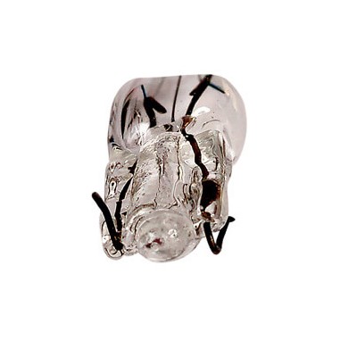 AMPOULE WEDGE 12V 1.2W T5