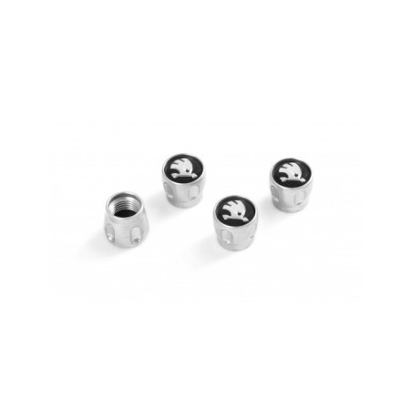 BOUCHONS DE VALVE SKODA
