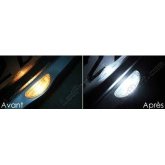 AMPOULE DE PLAQUES A LEDS REN CLIO2