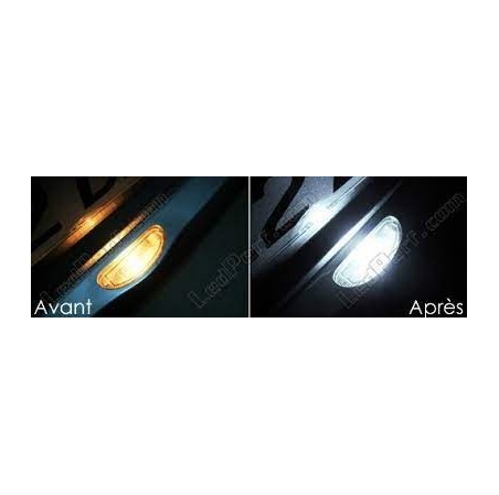 AMPOULE DE PLAQUES A LEDS REN CLIO2