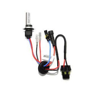 AMPOULE H7 REMPLACEMENT XENON 8000K