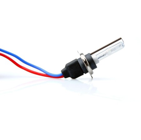 AMPOULE XENON H7 8000K