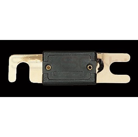FUSIBLE ANL 200A GZ UNITE
