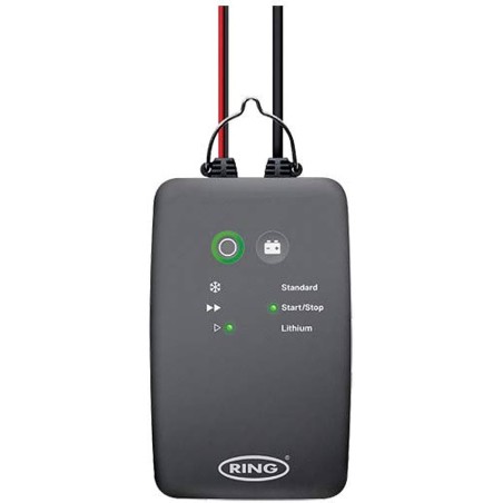 CHARGEUR BAT INT + MAINT CHARGE 6A