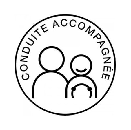 DISQUE ELECTROSTATIQUE "CONDUITE ACCOMPAGNEE"