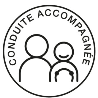 DISQUE ELECTROSTATIQUE "CONDUITE ACCOMPAGNEE" 2