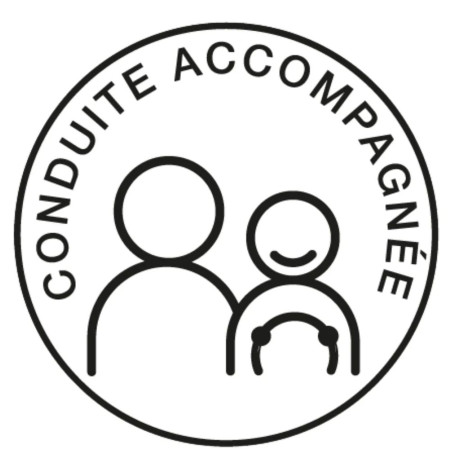 DISQUE ELECTROSTATIQUE "CONDUITE ACCOMPAGNEE"