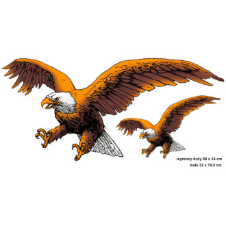Avisa Autocollant AutoTattoo Eagle 2-pièces - 67x32cm 2
