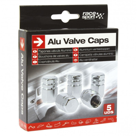 Bouchons de valve hexagonaux argent 5pces
