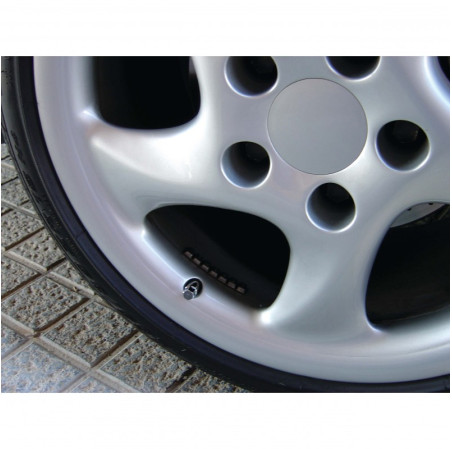 Bouchons de valve hexagonaux argent 5pces