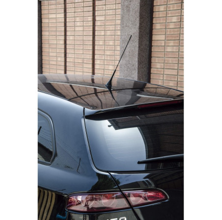 Antenne SWISS DRIVE de voiture flexible et universelle. Livrée avec 2 adapteurs pour le montage sur des véhicules avec des filet