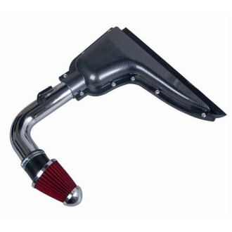 ADMISSION DIRECT LOOK CARBONE POUR PEUGEOT 206
